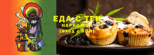 гидра Гусев