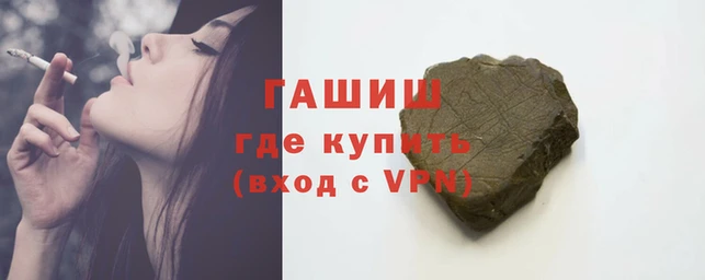 гидра Гусев