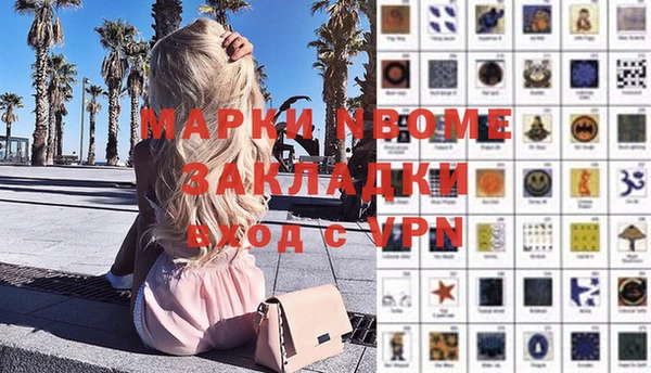 гидра Гусев