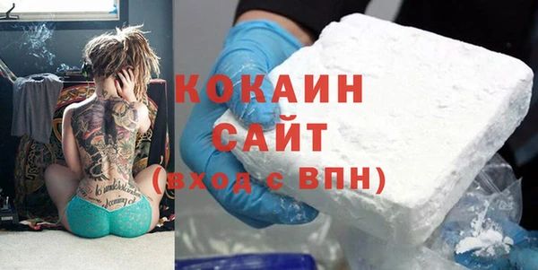 гидра Гусев