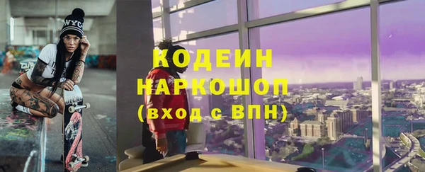 гидра Гусев