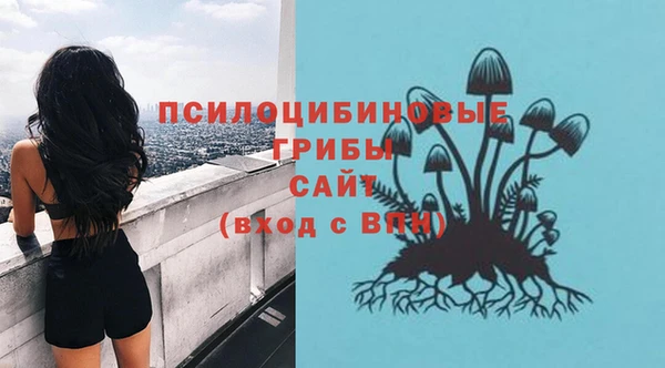 гидра Гусев