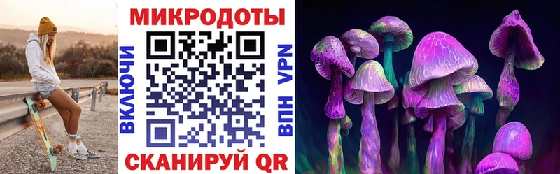 где купить наркоту  mega зеркало  Псилоцибиновые грибы Psilocybe  Элиста 