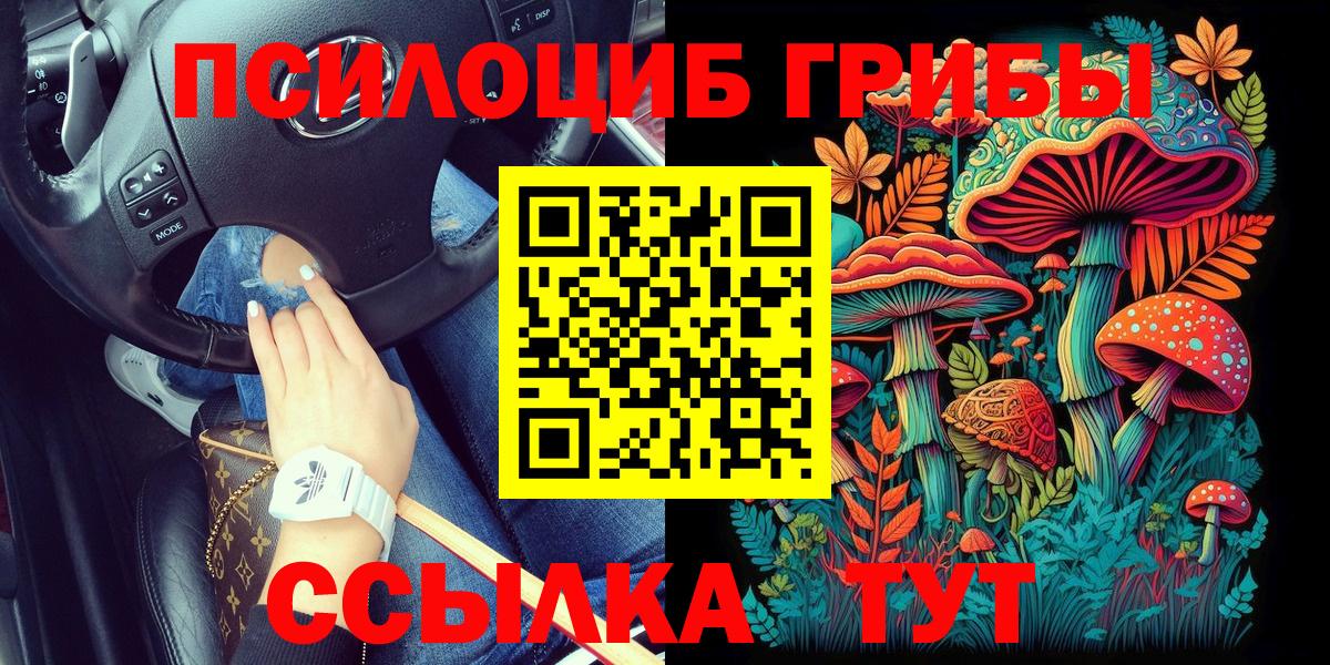 Элиста  Галлюциногенные грибы прущие грибы  Псилоцибиновые грибы мухоморы  Вход с VPN 